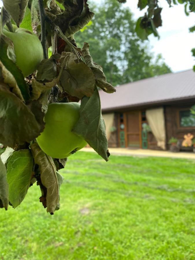 Siedlisko Odpoczynkowo Villa Nowosiolki  Luaran gambar